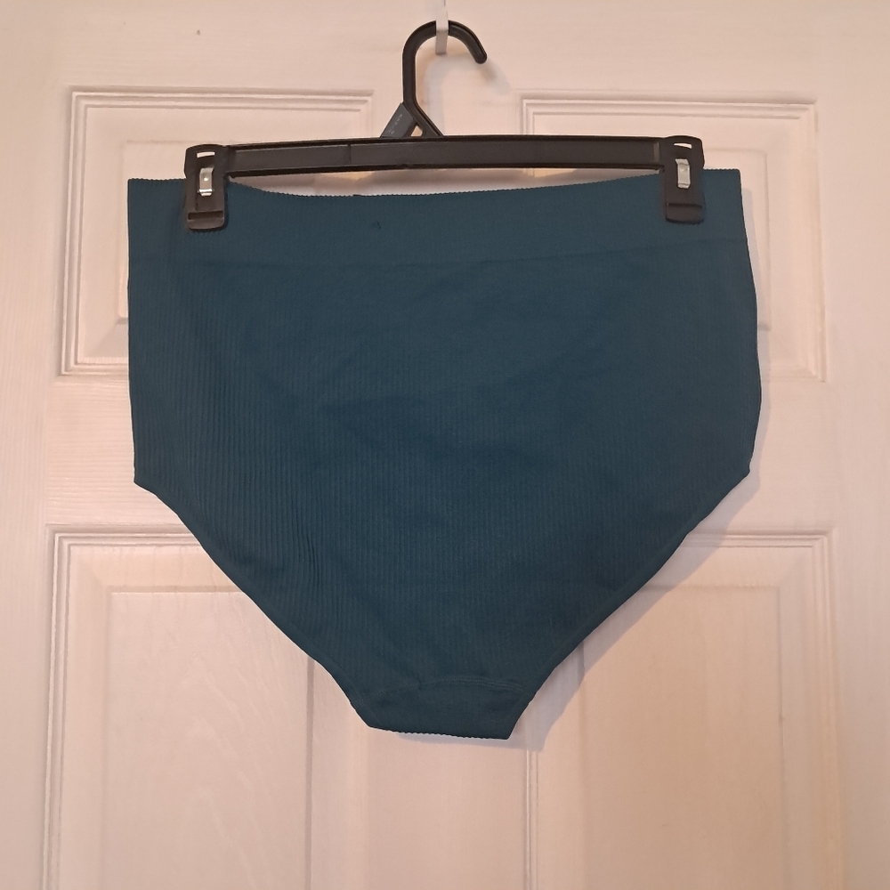 Torrid Teal High Rise Ribbed Panties - Picture 5 of 5